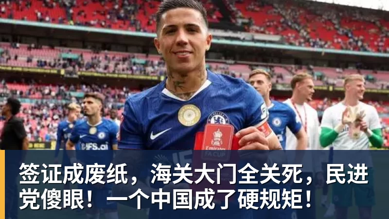 开云app官方在线入口签证成废纸,海关大门全关死,民进党傻眼!一个中国成了硬规矩!