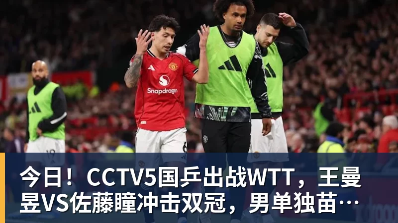 今日!CCTV5国乒出战WTT,王曼昱VS佐藤瞳冲击双冠,男单独苗周启豪PK松岛辉空